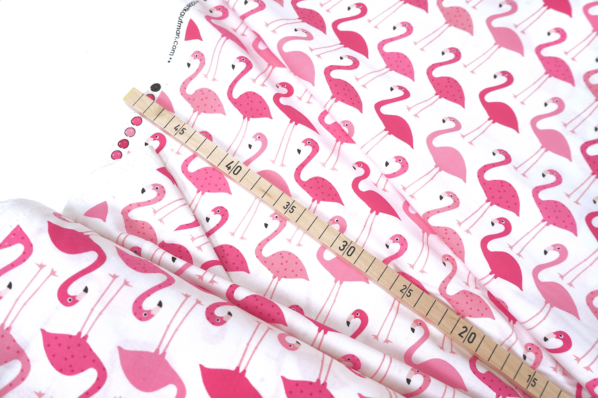 Robert Kaufman • Urban Zoologie • Flamingo • Ann Kelle