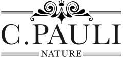 C. Pauli