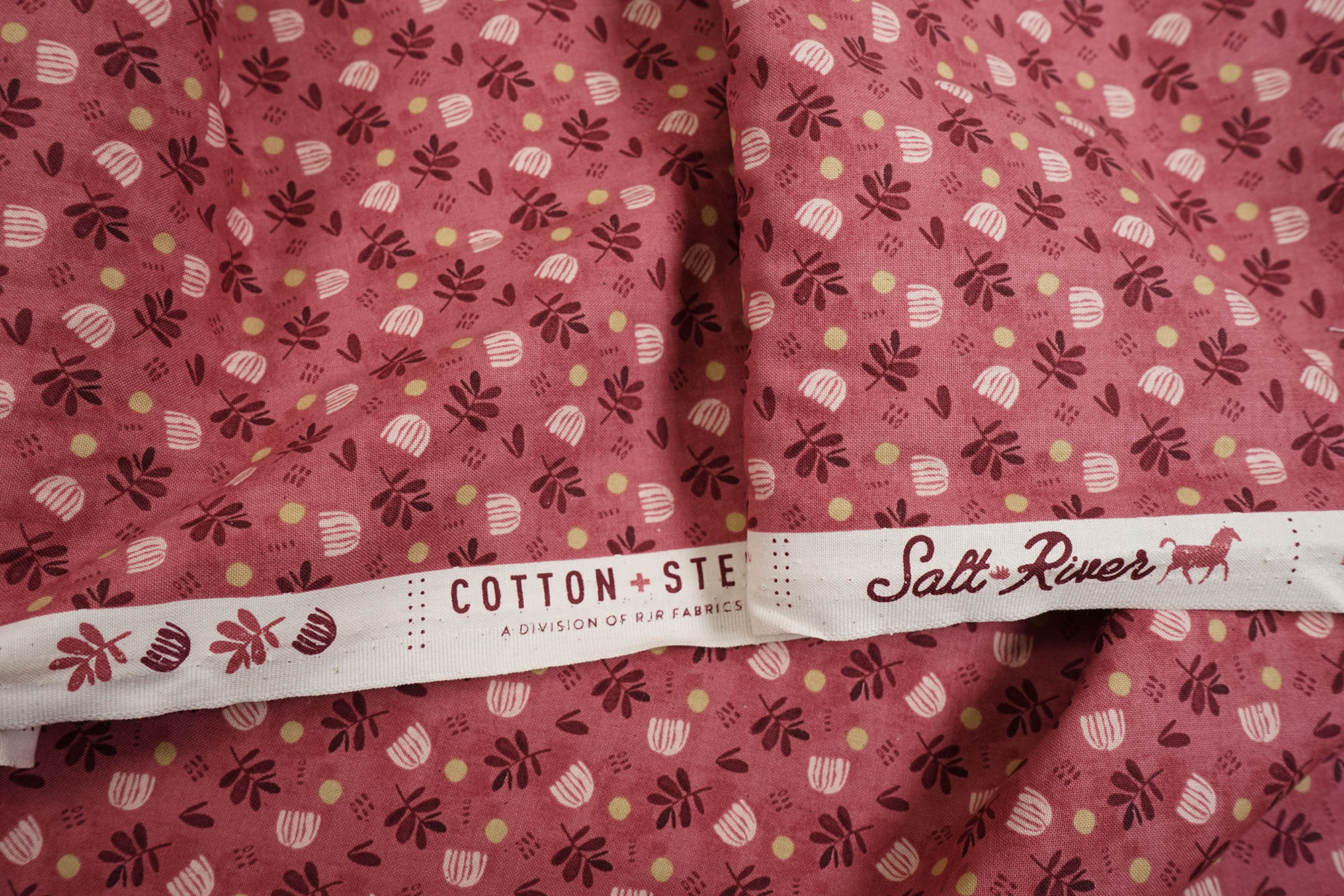 Cotton + Steel • Salt River • Mesa • Burning Sun Unbleached • Kass Reich
