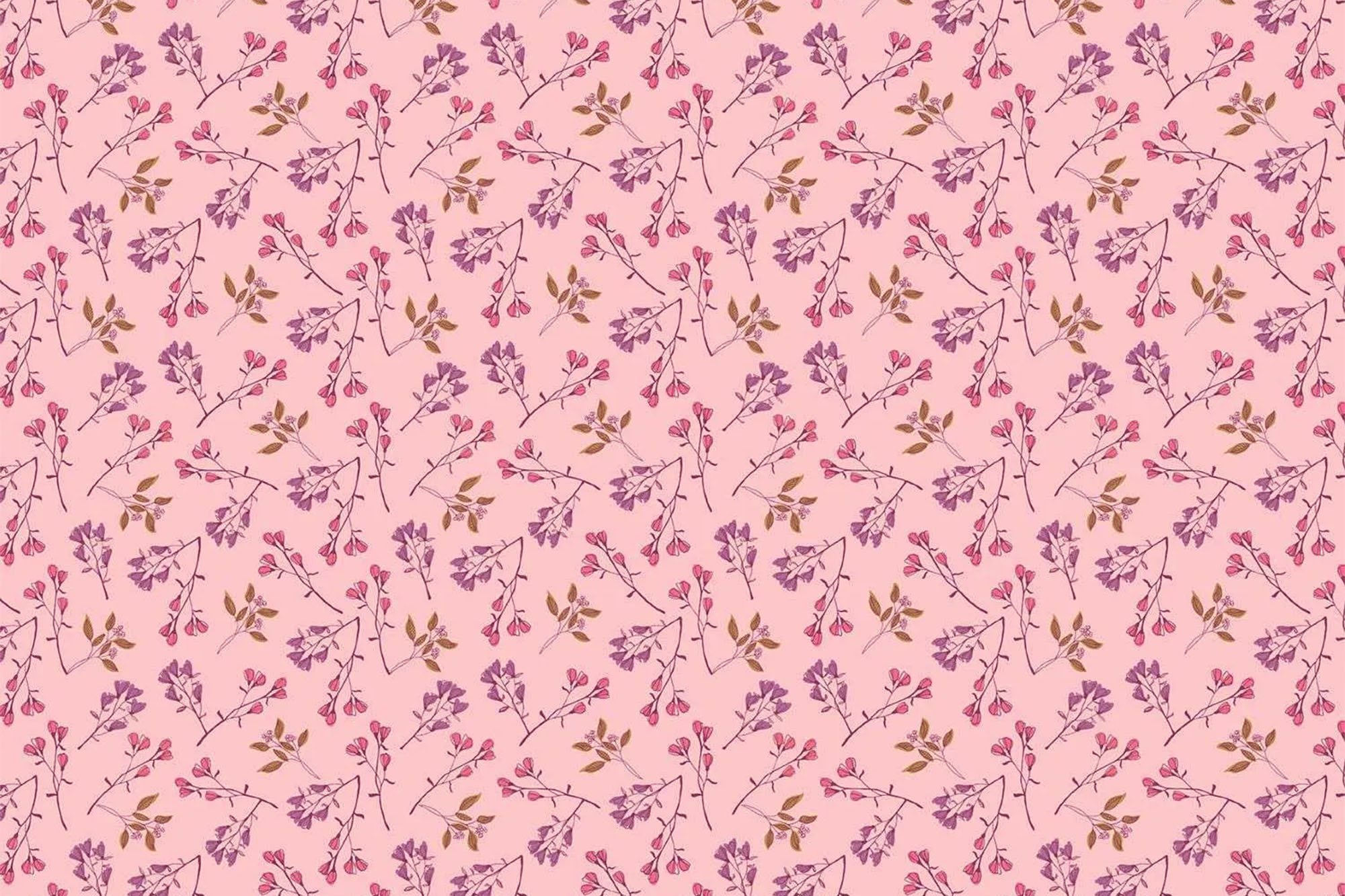 andover • Meadow Walk • Bloom Burst • blush